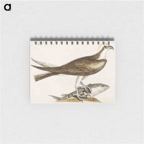 2-64_Mark-Catesby_memo