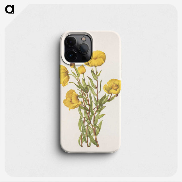 2-64_Mary-Vaux-Walcott_phone