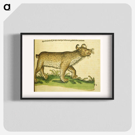 アートポスター-De lupo cervario, lynce et chao
 - 国立医学図書館 Poster.