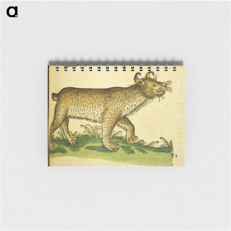 アートメモ帳-De lupo cervario, lynce et chao
 - 国立医学図書館 Memo.