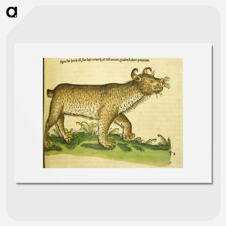 アートポスター-De lupo cervario, lynce et chao
 - 国立医学図書館 Poster.