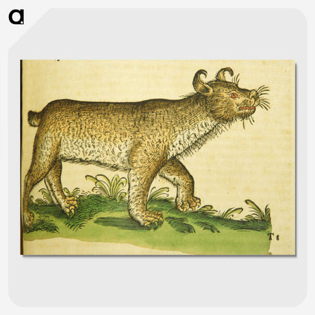 2-64_National-Library-of-Medicine_picture-crop