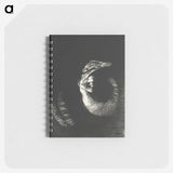 2-64_Odilon-Redon_memo