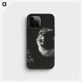 2-64_Odilon-Redon_phone