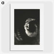 2-64_Odilon-Redon_picture