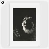 2-64_Odilon-Redon_picture