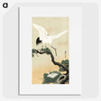 2-64_Ohara-Koson_picture
