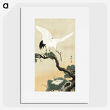 2-64_Ohara-Koson_picture