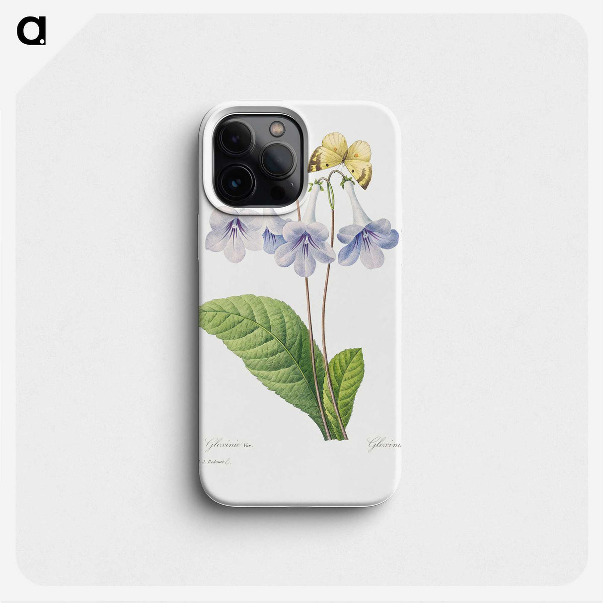 2-64_Pierre-Joseph-Redoute_phone