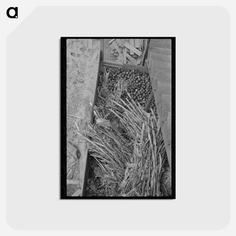 アートポストカード-Old Gristmill on Skyline Drive
 - ラッセル リー Postcard.