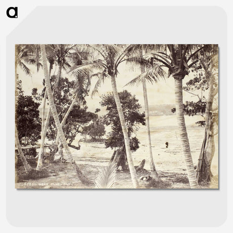 2-64_The-Burton-Brothers_picture-crop