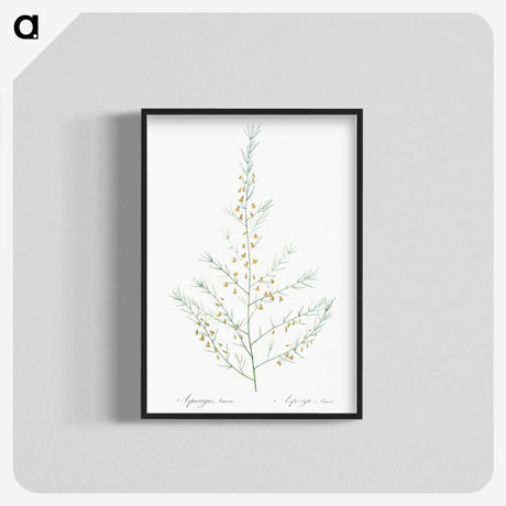 2-64_The-Lilies_blk-crop