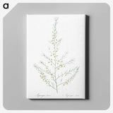 2-64_The-Lilies_canvas