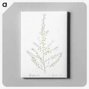 2-64_The-Lilies_canvas