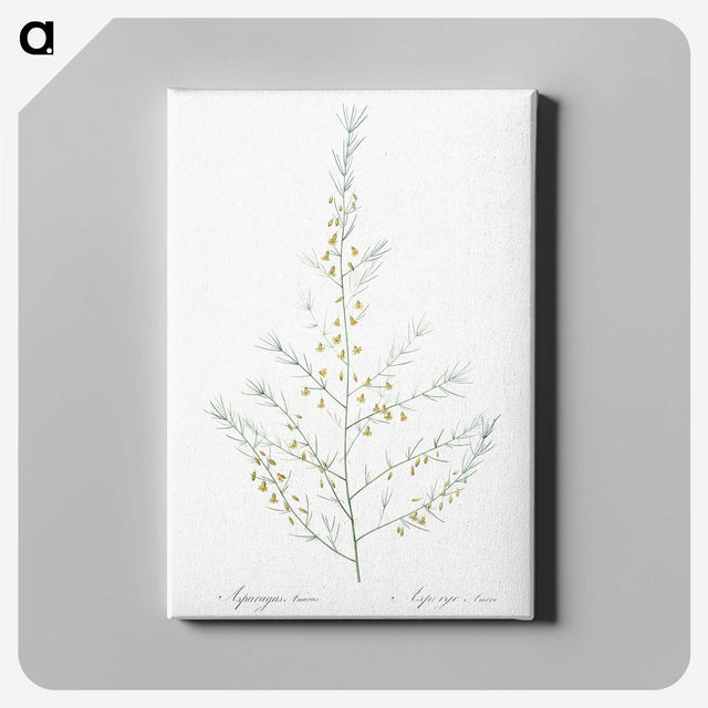 2-64_The-Lilies_canvas