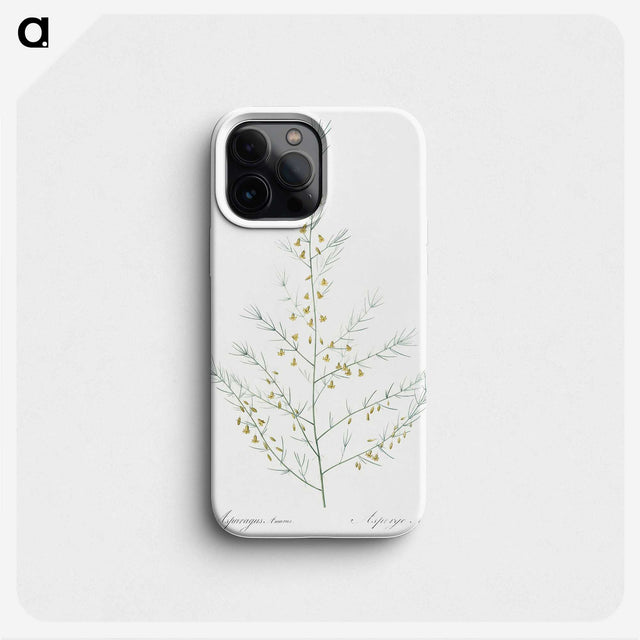 2-64_The-Lilies_phone