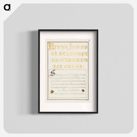 アートポスター-Beetlelike Insects from Mira Calligraphiae Monumenta
 - 書道のお手本 Poster.