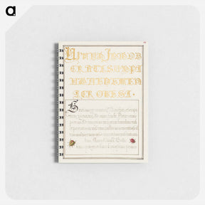 アートメモ帳-Beetlelike Insects from Mira Calligraphiae Monumenta
 - 書道のお手本 Memo.