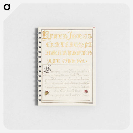 アートメモ帳-Beetlelike Insects from Mira Calligraphiae Monumenta
 - 書道のお手本 Memo.