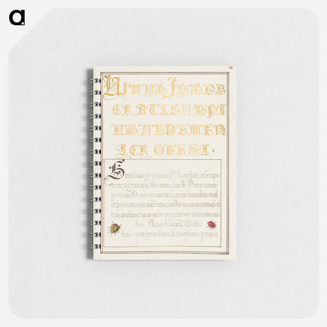 アートメモ帳-Beetlelike Insects from Mira Calligraphiae Monumenta
 - 書道のお手本 Memo.