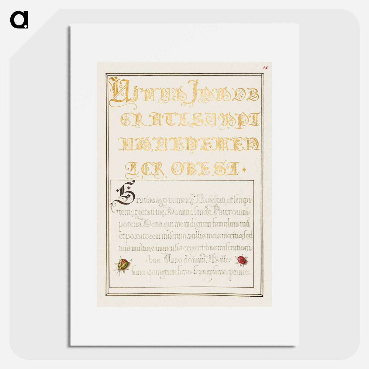 アートポスター-Beetlelike Insects from Mira Calligraphiae Monumenta
 - 書道のお手本 Poster.