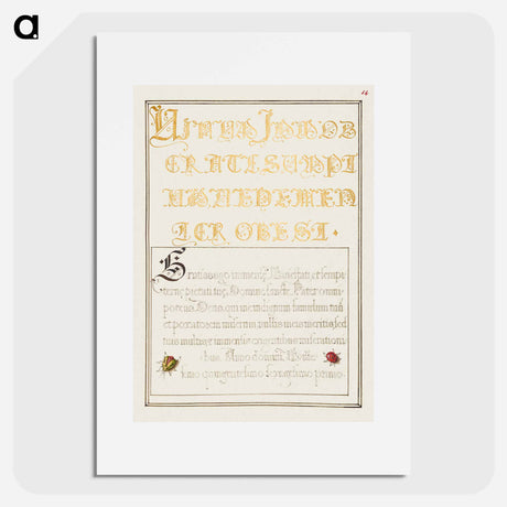 アートポスター-Beetlelike Insects from Mira Calligraphiae Monumenta
 - 書道のお手本 Poster.
