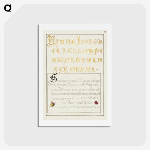 ミラカリグラフィア記念碑からの甲虫のような昆虫 - 書道のお手本 Postcard.