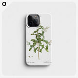 2-64_Treatise-on-Trees-and-Shrubs_phone