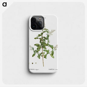 2-64_Treatise-on-Trees-and-Shrubs_phone