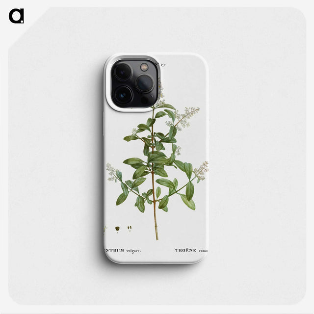 2-64_Treatise-on-Trees-and-Shrubs_phone
