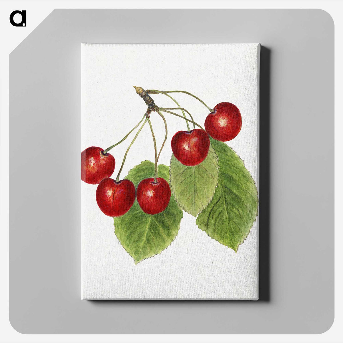 2-64_USDA-Watercolor-Fruit-Painting-Collection_canvas
