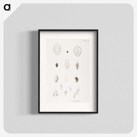 2-64_Zoology-of-New-York_blk