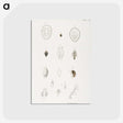 2-64_Zoology-of-New-York_postcard
