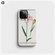 2-65_Anselmus-Boetius-de-Boodt_phone