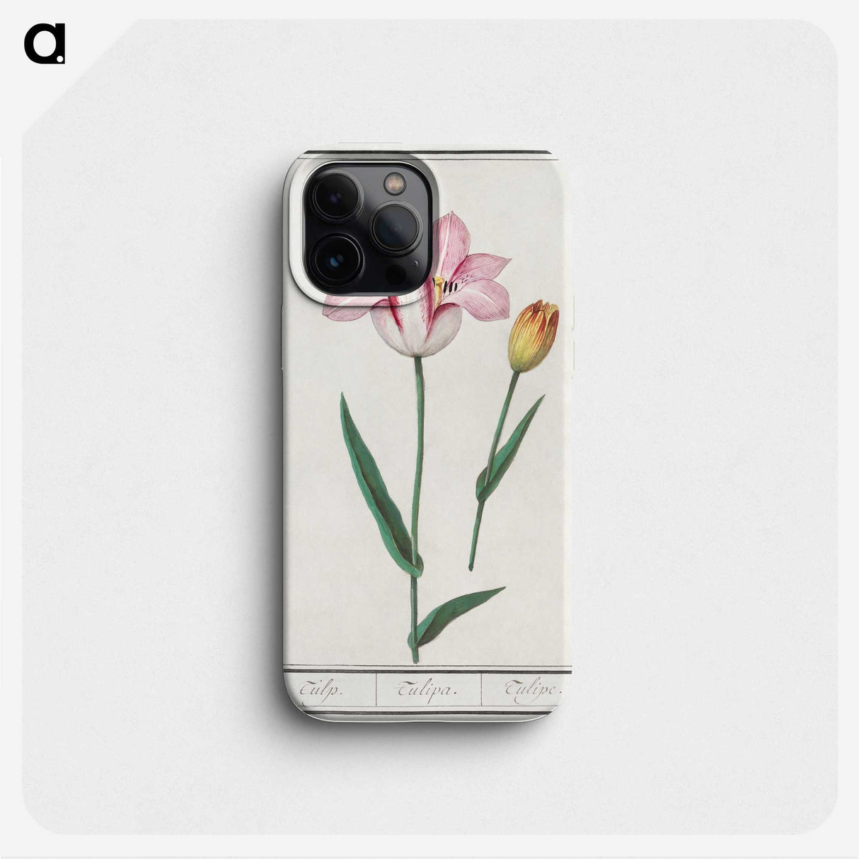 2-65_Anselmus-Boetius-de-Boodt_phone