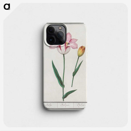 2-65_Anselmus-Boetius-de-Boodt_phone