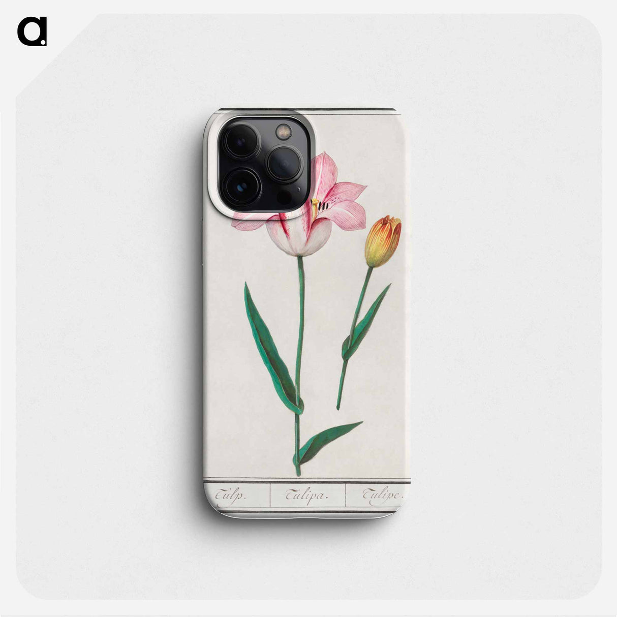 Tulip - アンセルムス ボエティウス デ ブート Phone Case.