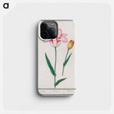 Tulip - アンセルムス ボエティウス デ ブート Phone Case.