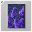2-65_COVID-19_canvas