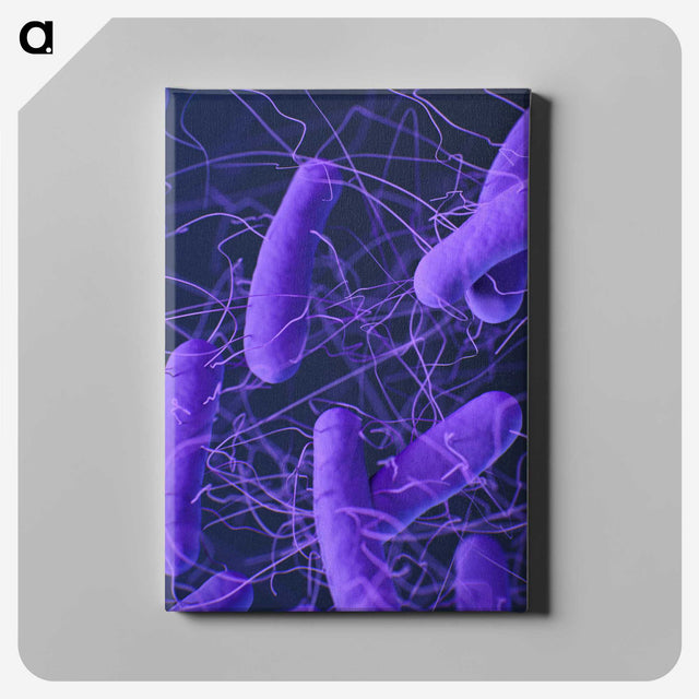 2-65_COVID-19_canvas
