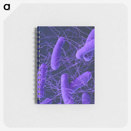 2-65_COVID-19_memo