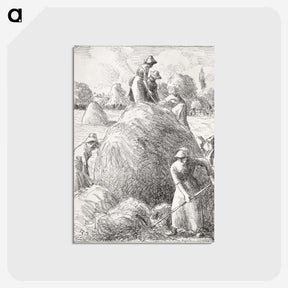 2-65_Camille-Pissarro_postcard