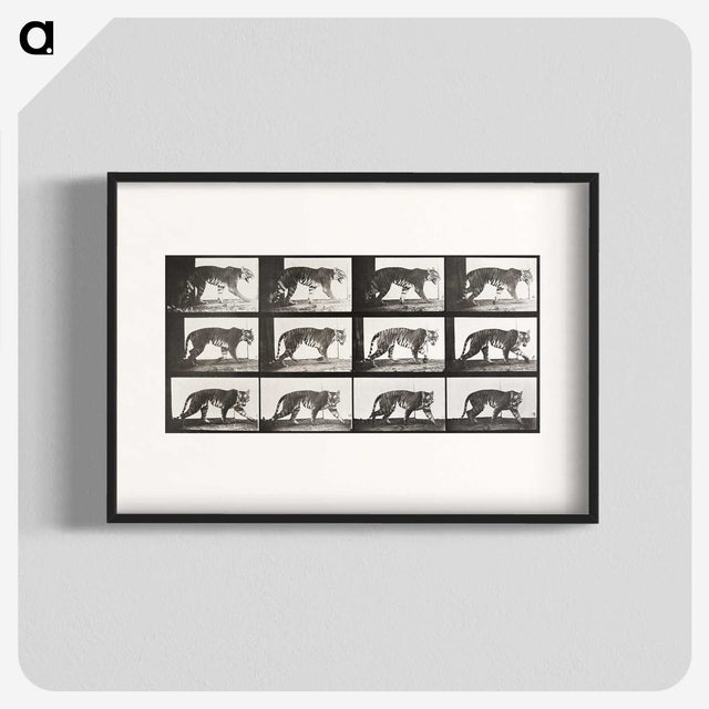 2-65_Eadweard-Muybridge_blk