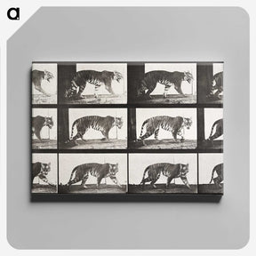 2-65_Eadweard-Muybridge_canvas