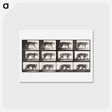アートポストカード-Animal Locomotion Plate 729
 - エドワード マイブリッジ Postcard.