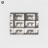 2-65_Eadweard-Muybridge_memo