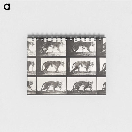 2-65_Eadweard-Muybridge_memo