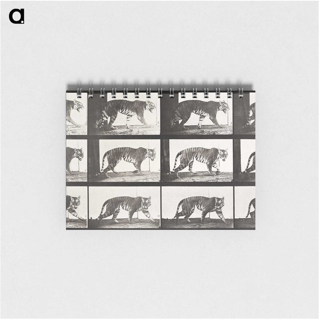 2-65_Eadweard-Muybridge_memo