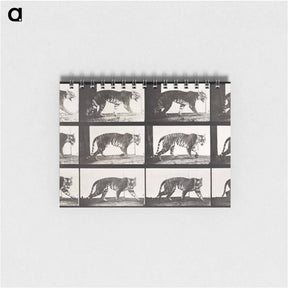 アートメモ帳-Animal Locomotion Plate 729
 - エドワード マイブリッジ Memo.