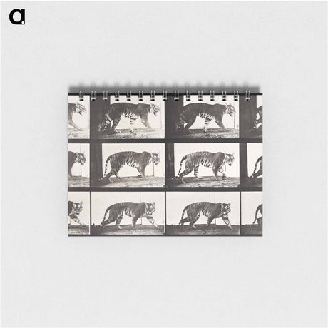 アートメモ帳-Animal Locomotion Plate 729
 - エドワード マイブリッジ Memo.